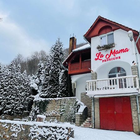 La Mama Hotel Pietroasa  Екстериор снимка